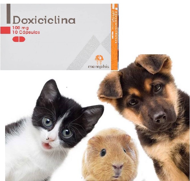 Doxiciclin-veterinaria